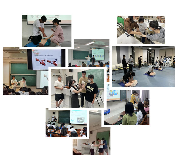 45612藏宝阁资料