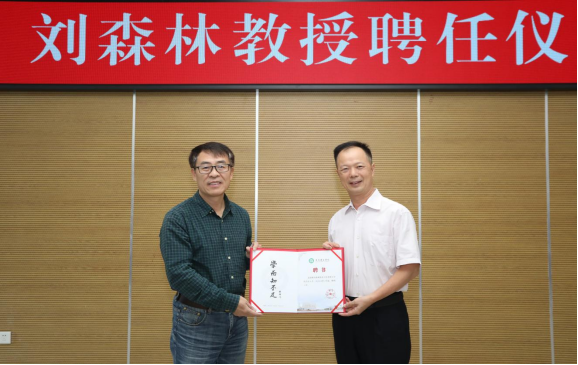 45612藏宝阁资料