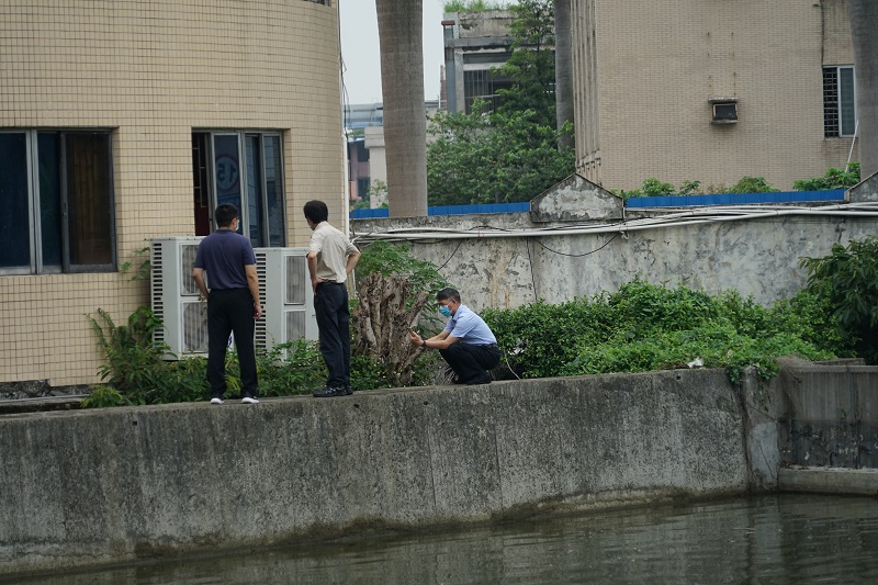 45612藏宝阁资料