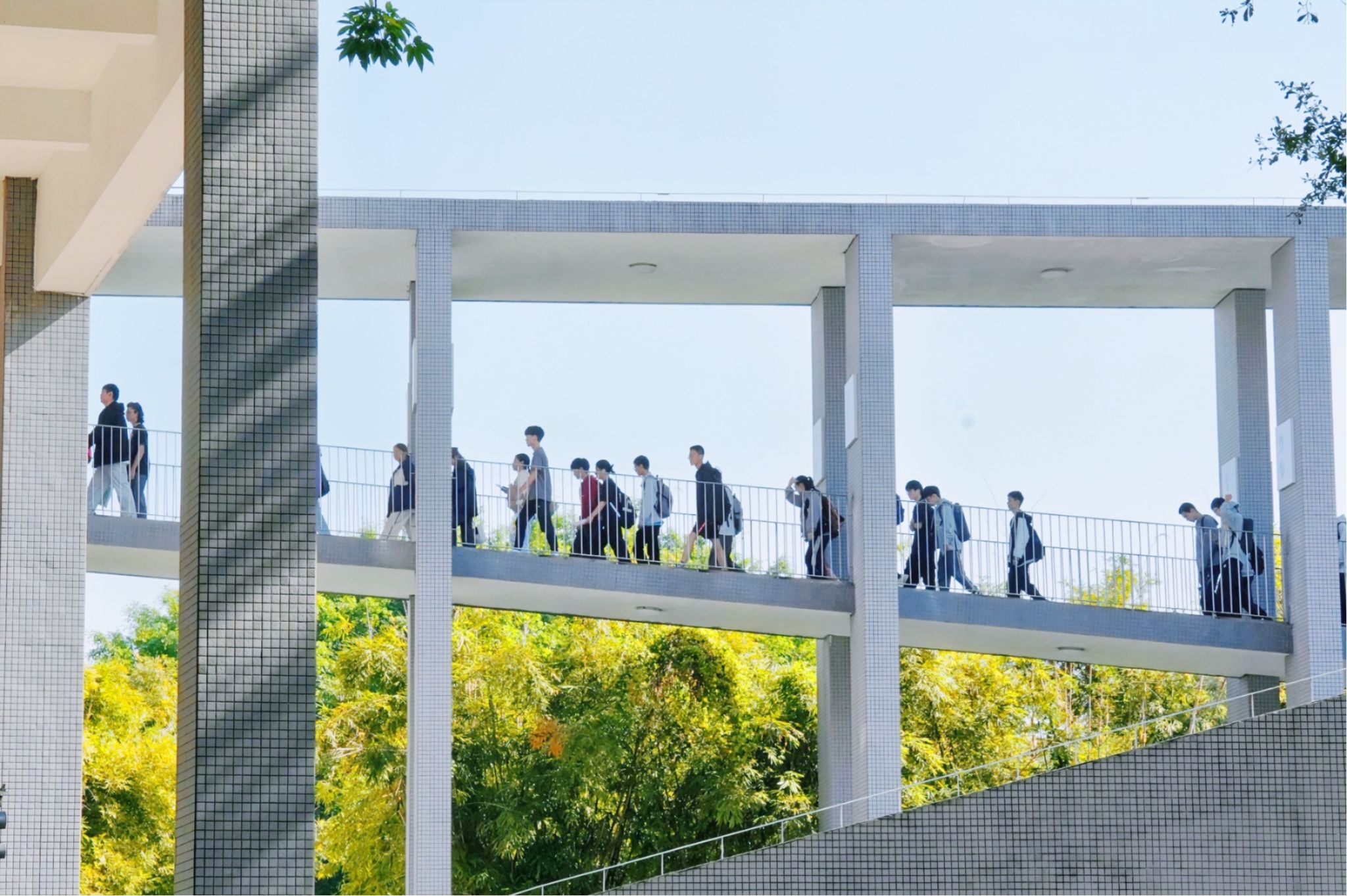 45612藏宝阁资料