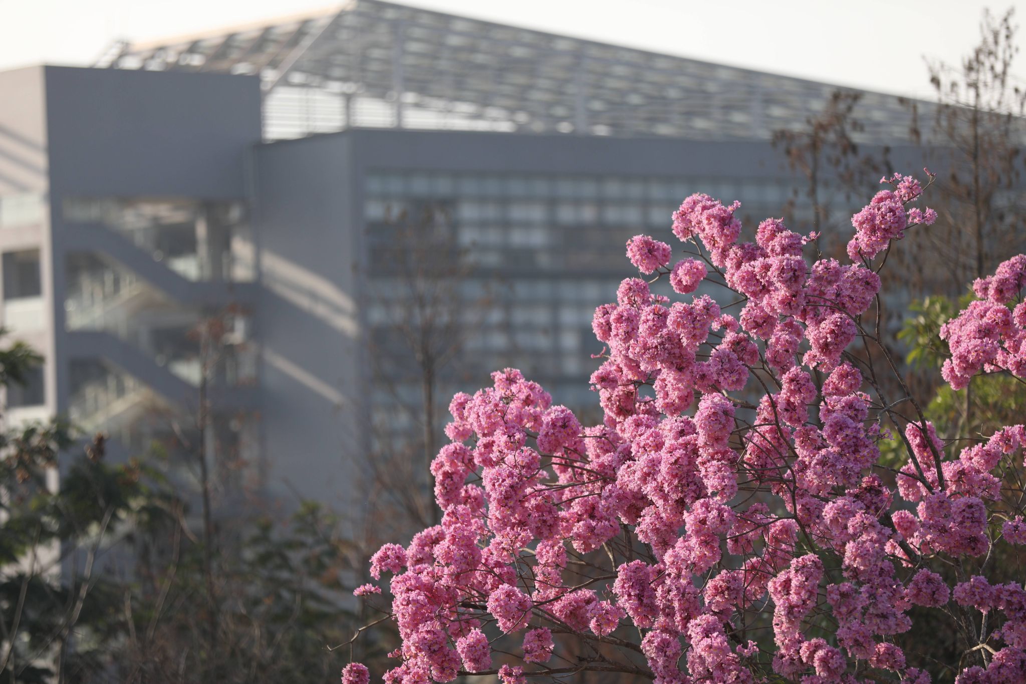 45612藏宝阁资料