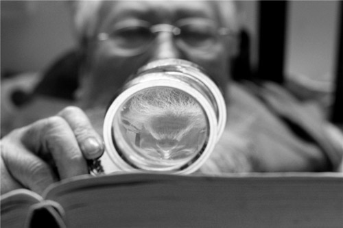 45612藏宝阁资料