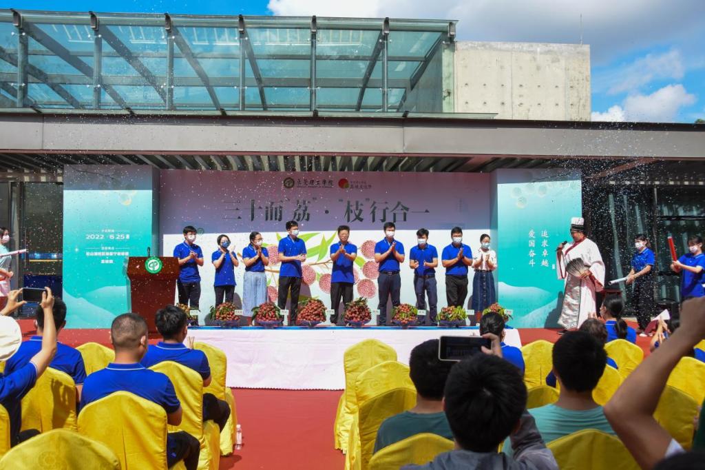 45612藏宝阁资料