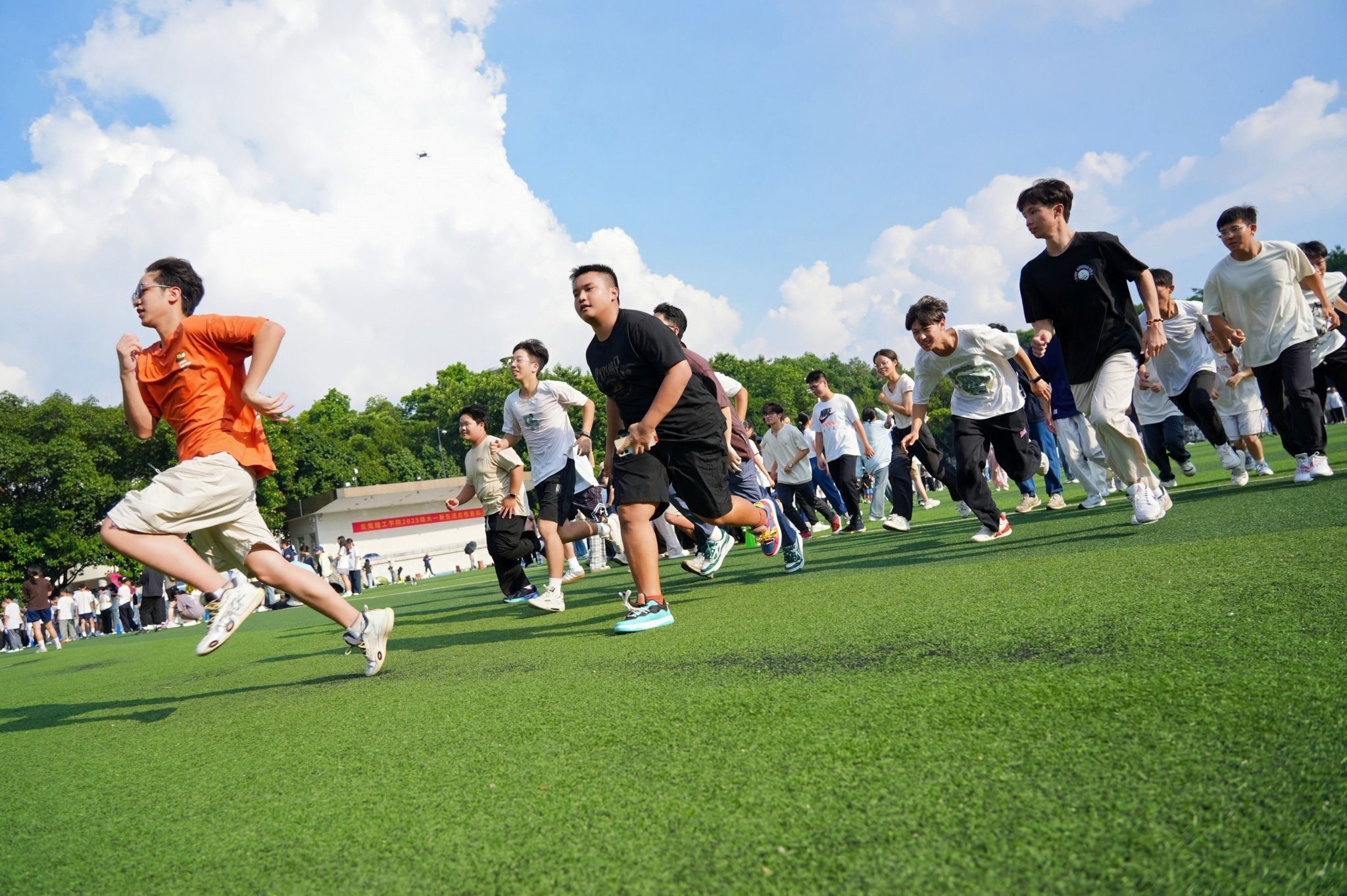 45612藏宝阁资料