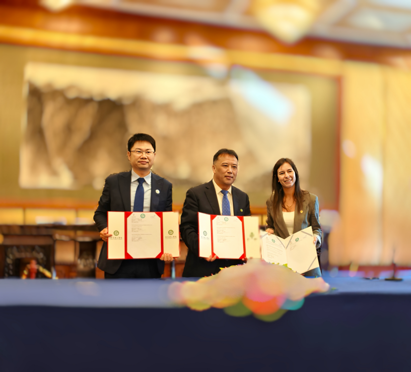 45612藏宝阁资料