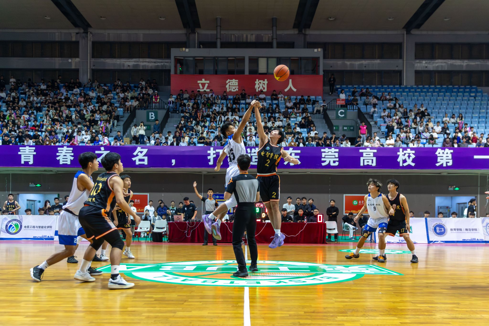 45612藏宝阁资料