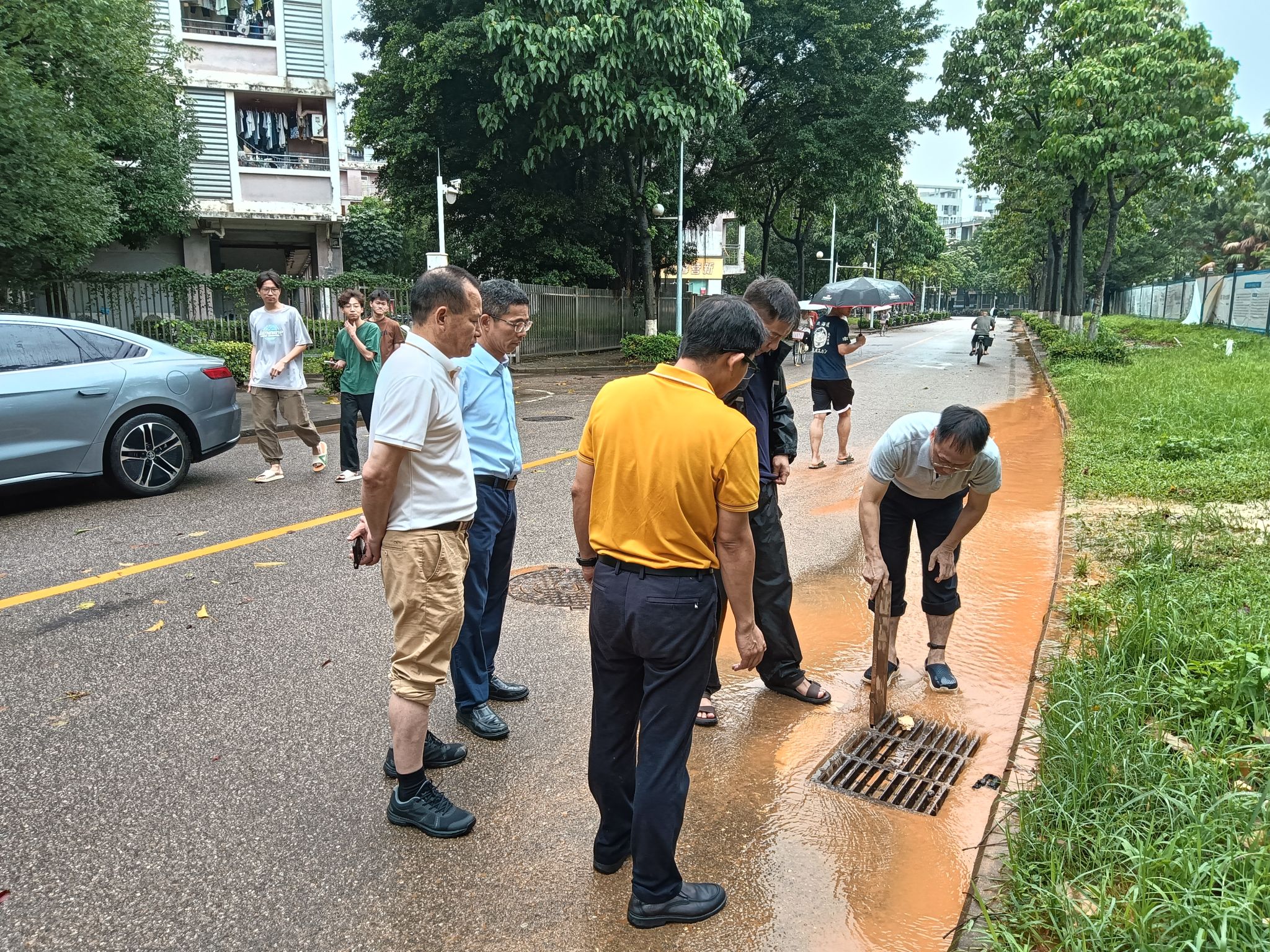 45612藏宝阁资料