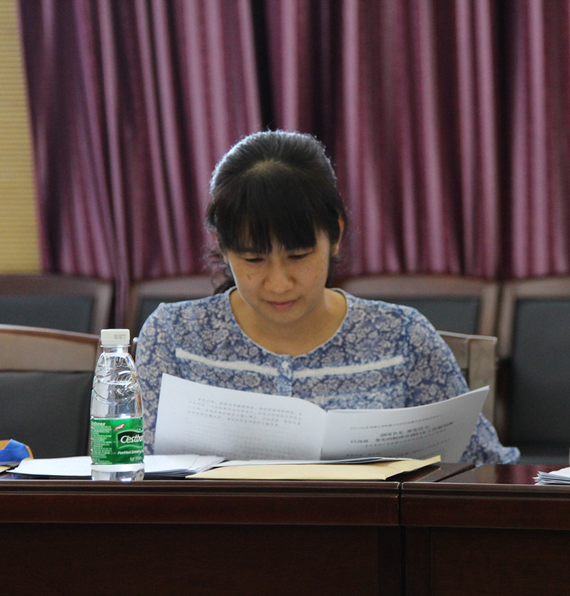 小组会议上，代表审议报告_副本