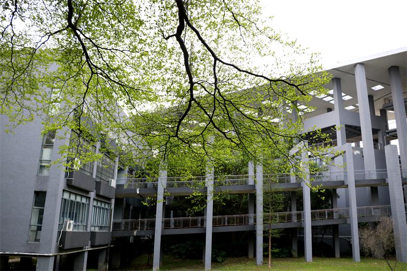 校园一角飞机楼