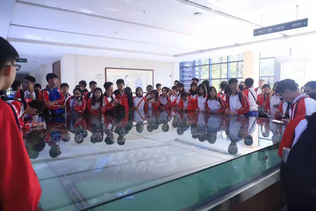 45612藏宝阁资料