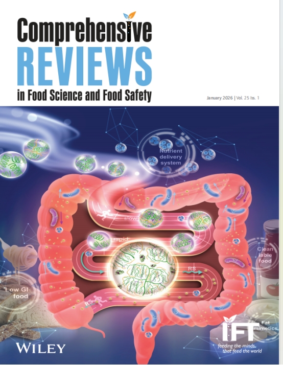 45612藏宝阁资料