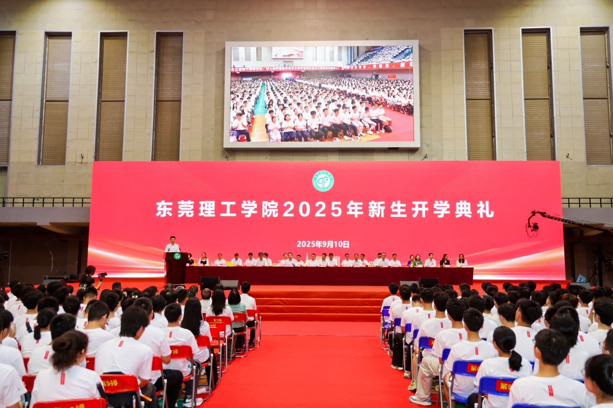 45612藏宝阁资料