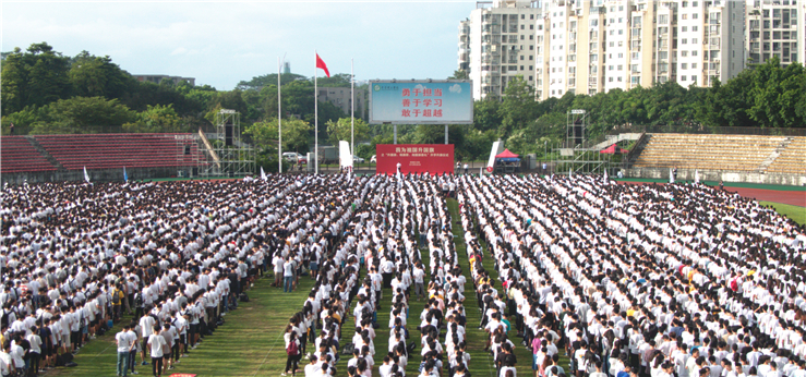 45612藏宝阁资料