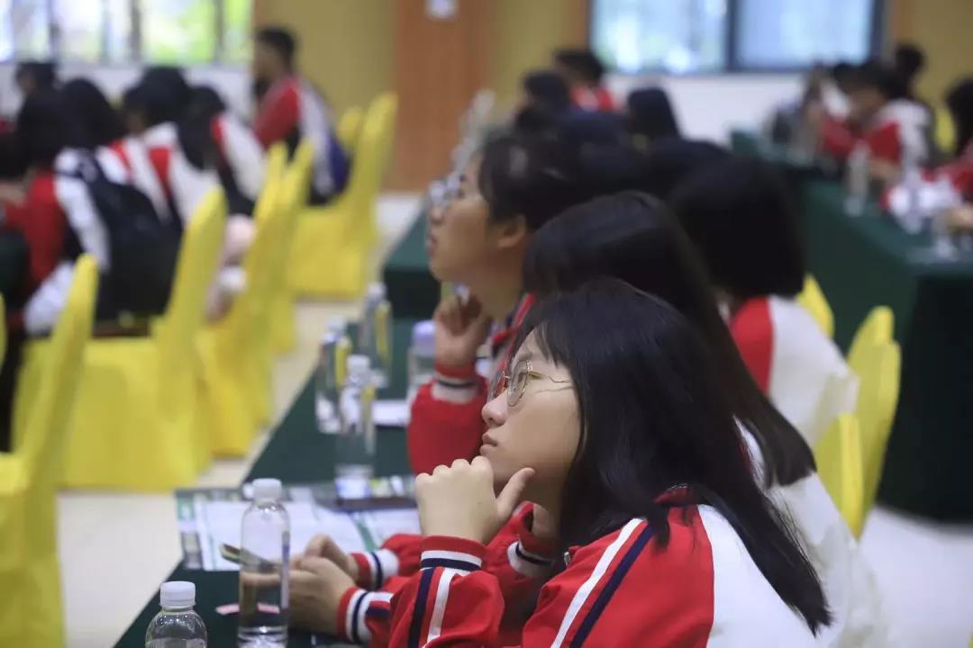 45612藏宝阁资料