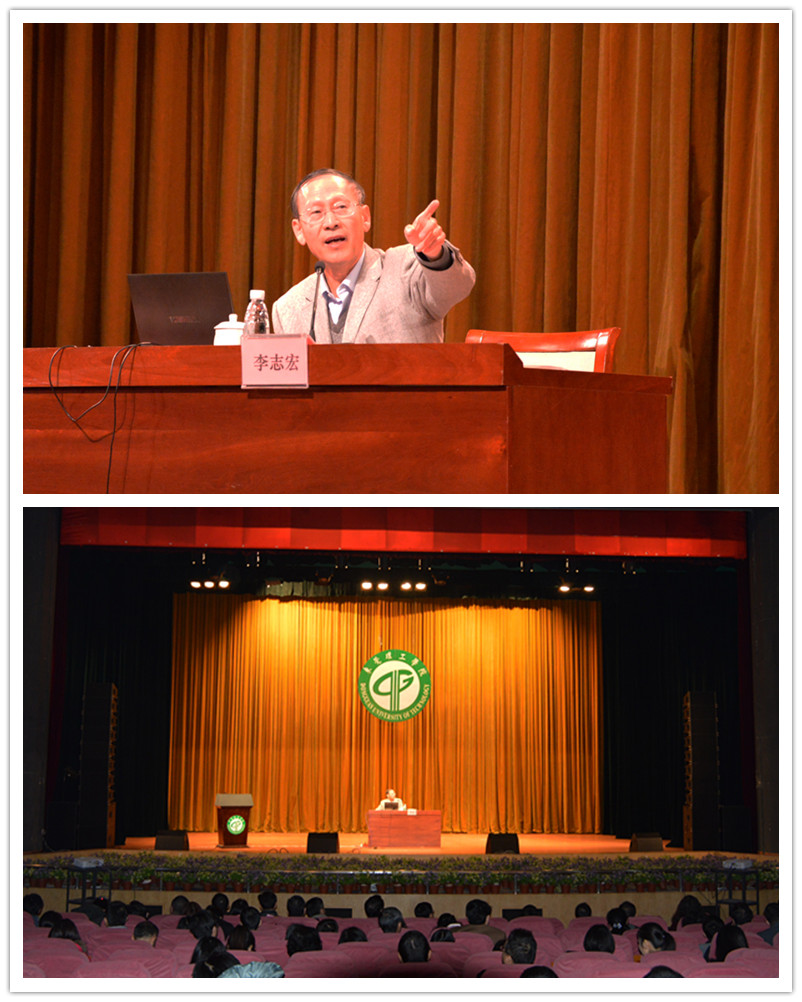 审核报告会上网