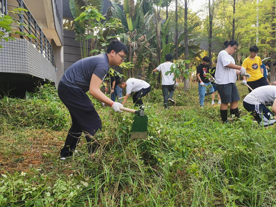 45612藏宝阁资料