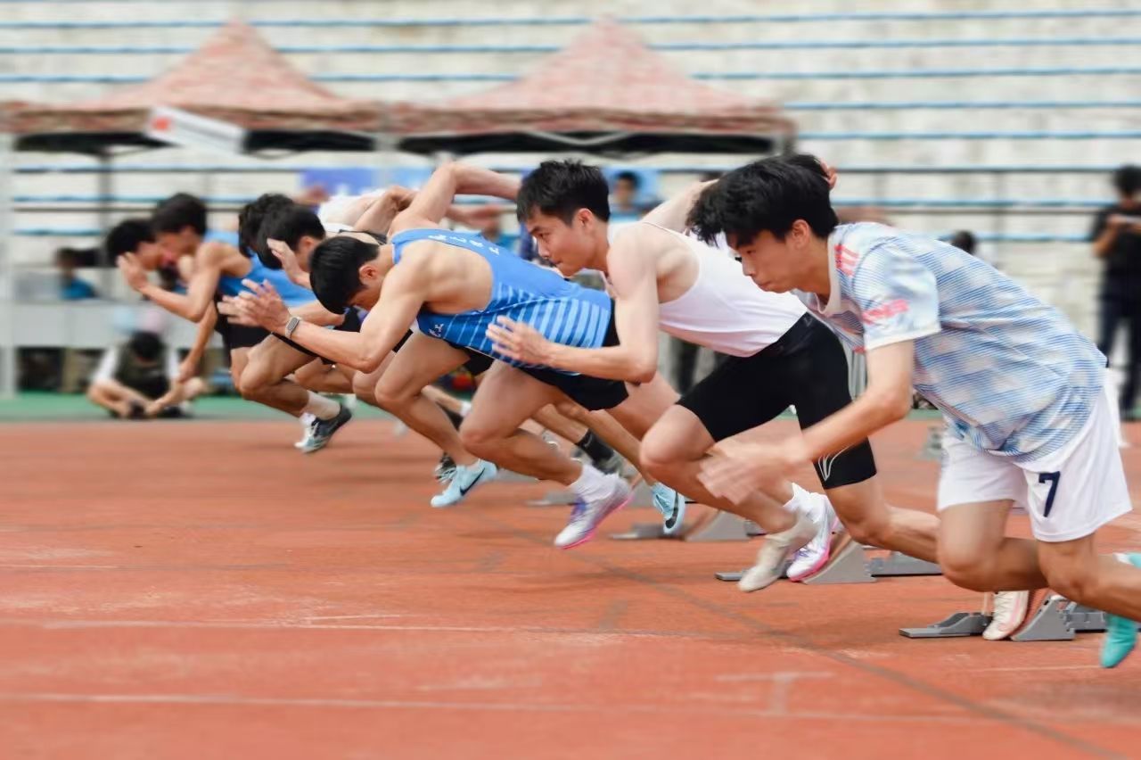 45612藏宝阁资料