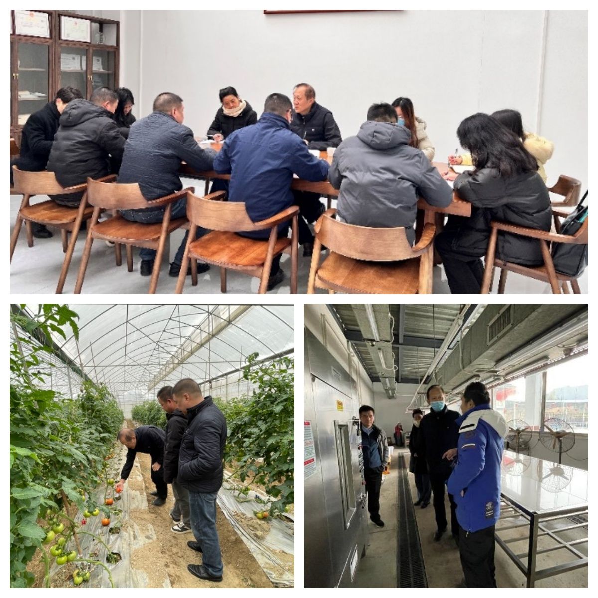 45612藏宝阁资料