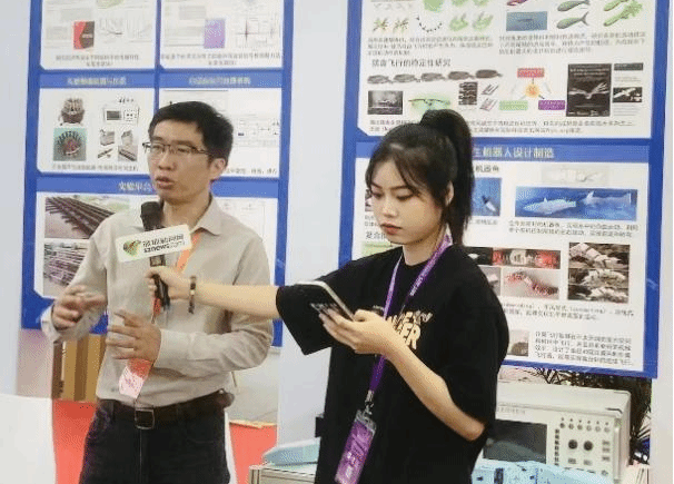 45612藏宝阁资料