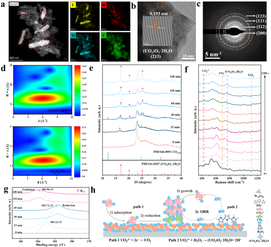 45612藏宝阁资料
