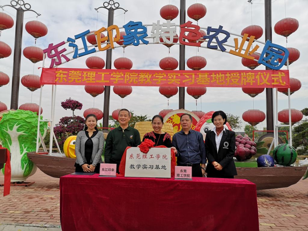 45612藏宝阁资料