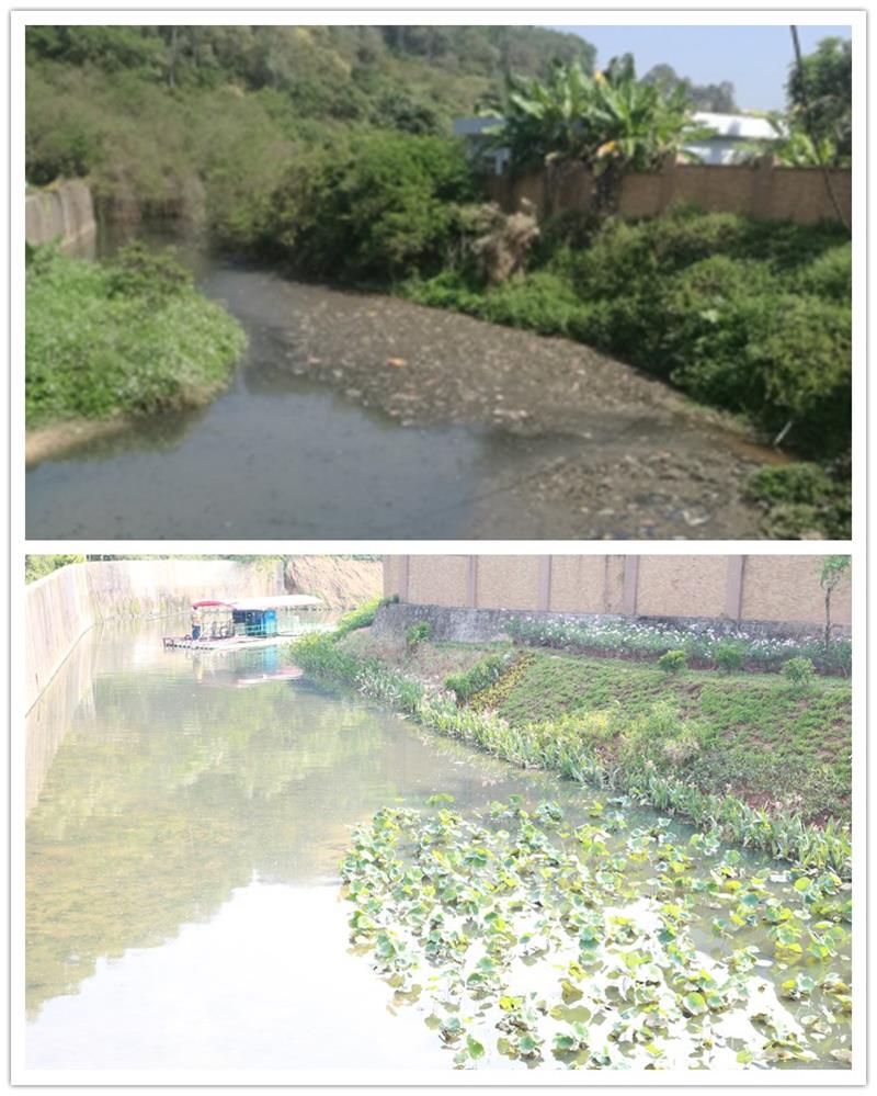 老围河治理前(上)和治理后(下)(1)