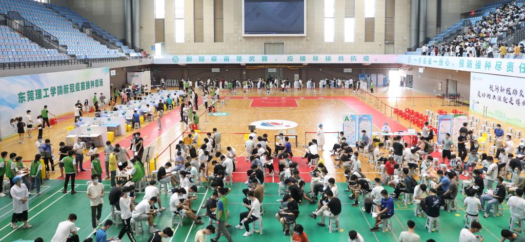 45612藏宝阁资料