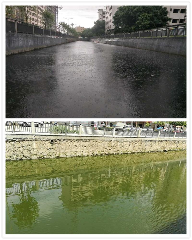 人民涌治理前(上)和治理后(下)(1)