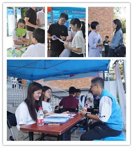 45612藏宝阁资料