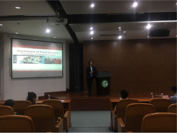 45612藏宝阁资料