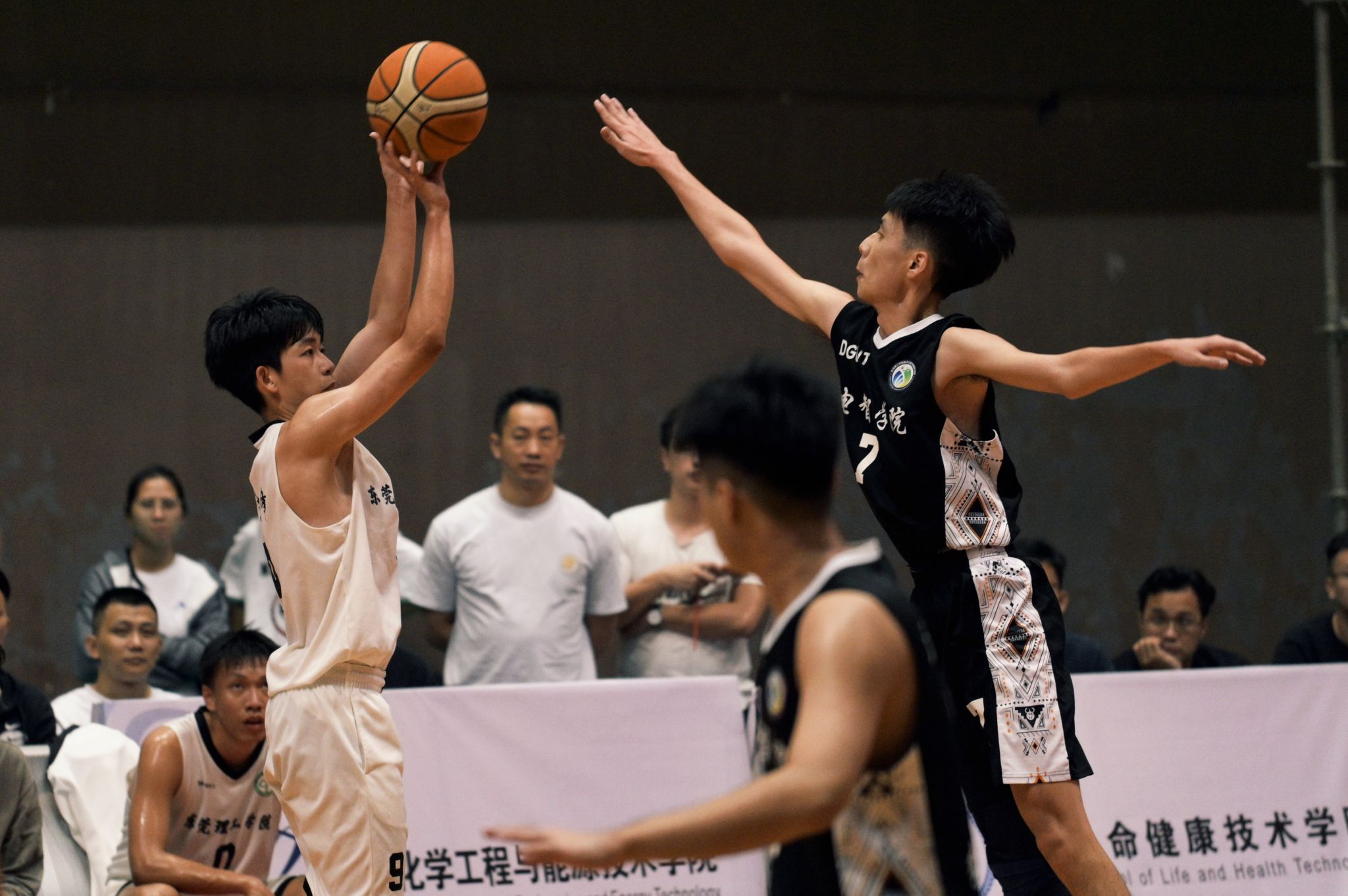 45612藏宝阁资料