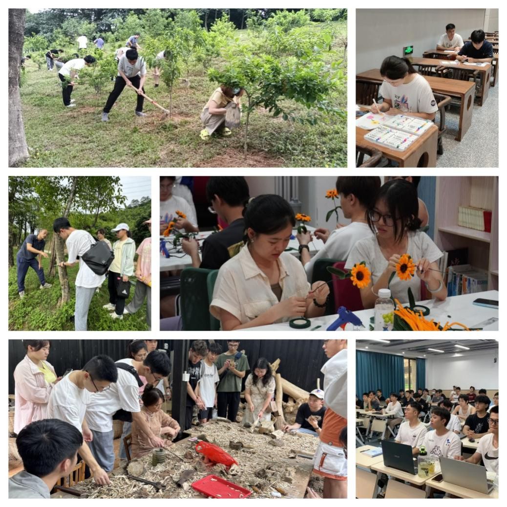 45612藏宝阁资料