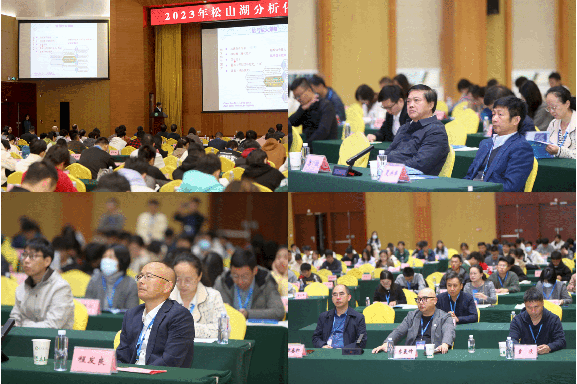 45612藏宝阁资料