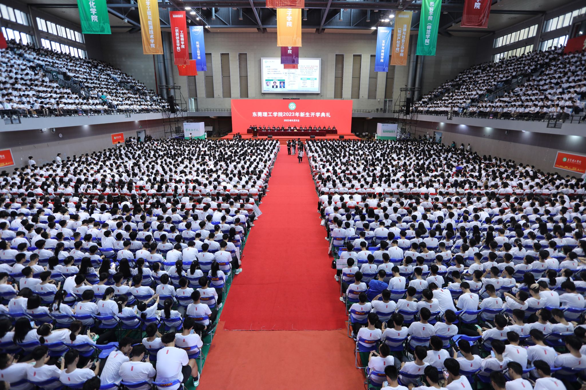 45612藏宝阁资料