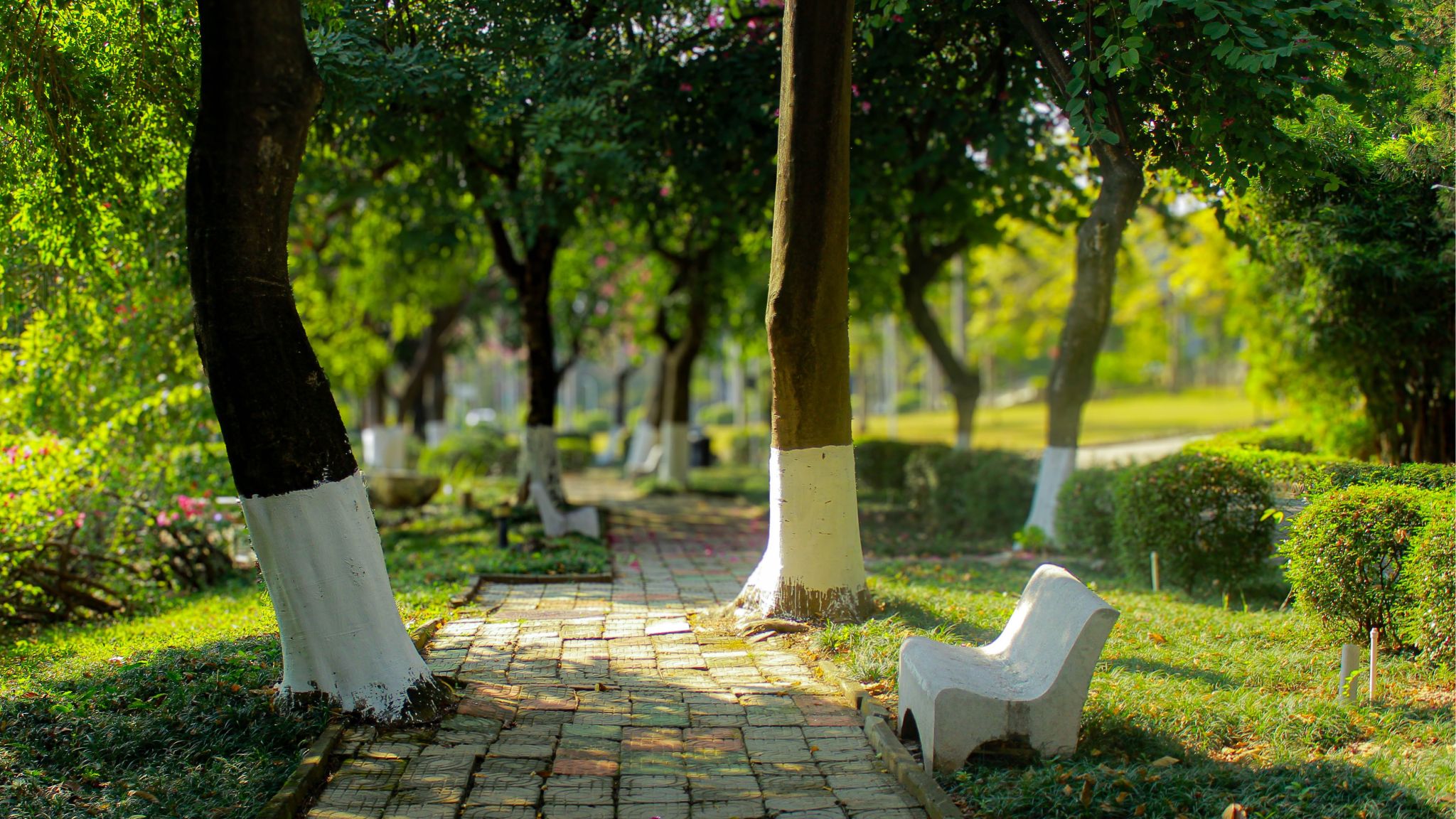 45612藏宝阁资料