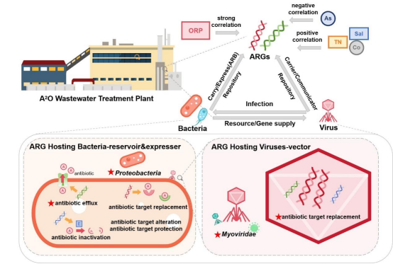 45612藏宝阁资料