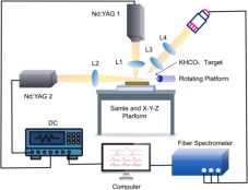 45612藏宝阁资料