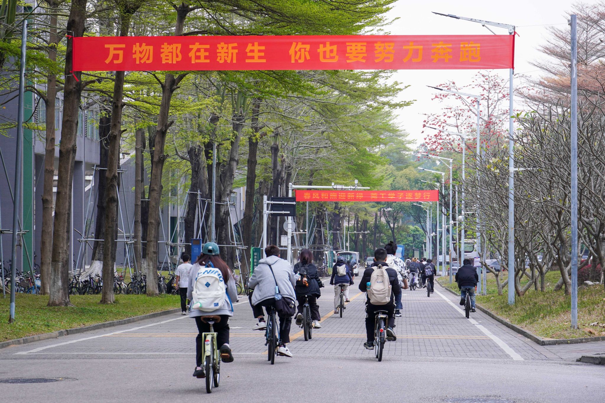 45612藏宝阁资料