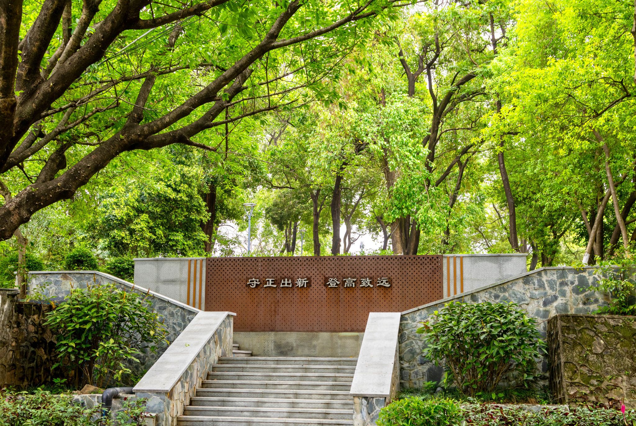 45612藏宝阁资料