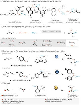 45612藏宝阁资料